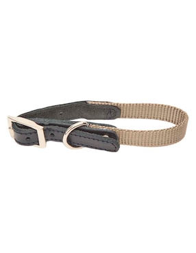 Correa y collar Leathern para perro