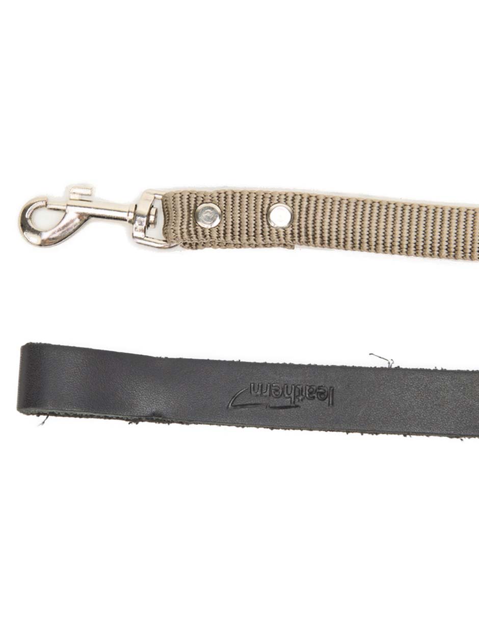 Correa y collar para perro 2